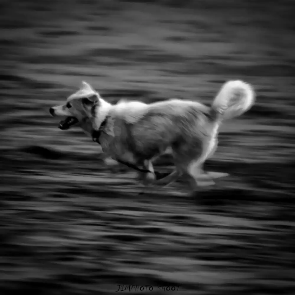 Zoom image 1