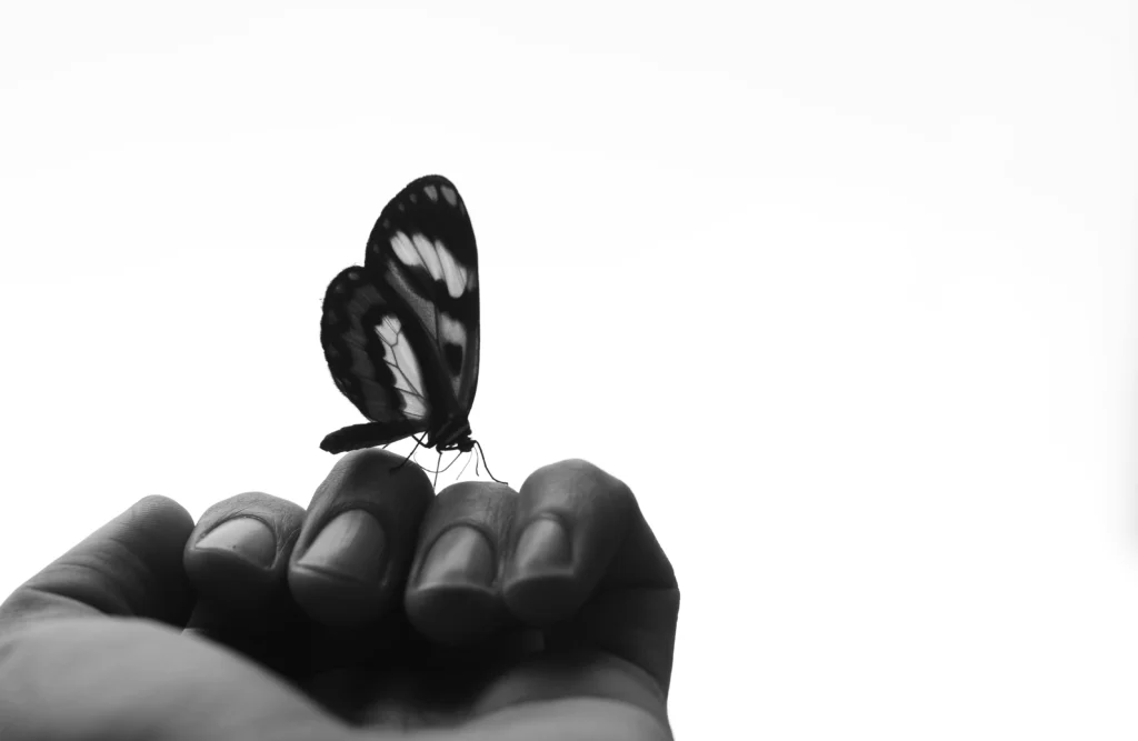 Social Media Manager: Navigating the Social Media Jungle