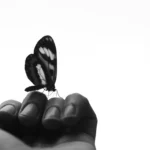 Social Media Manager: Navigating the Social Media Jungle