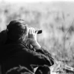 The Search Engine Revolution